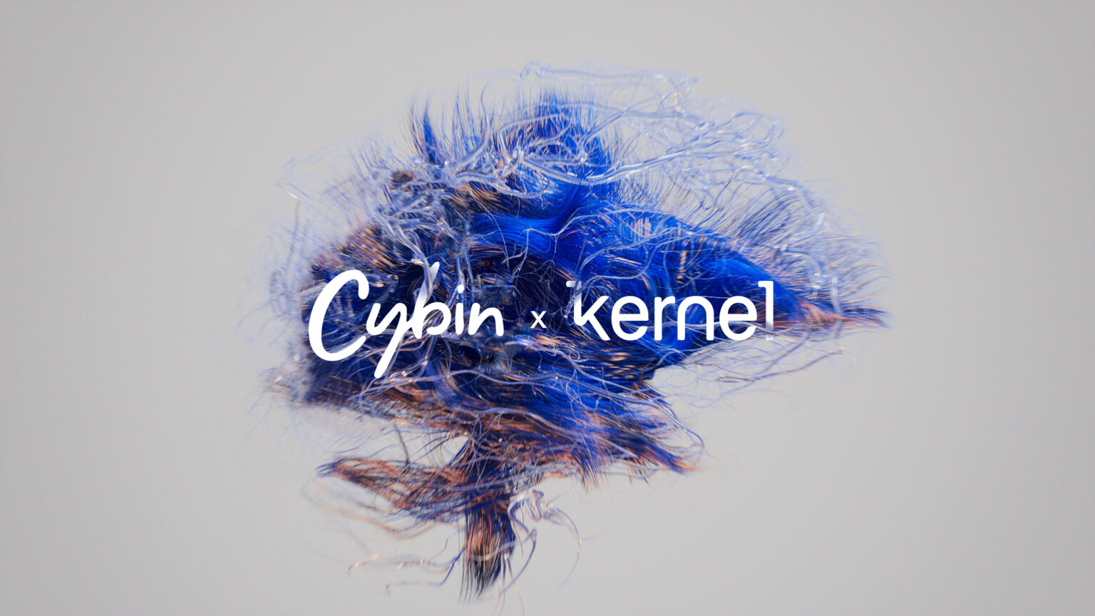 Cybin/Kernel Logo