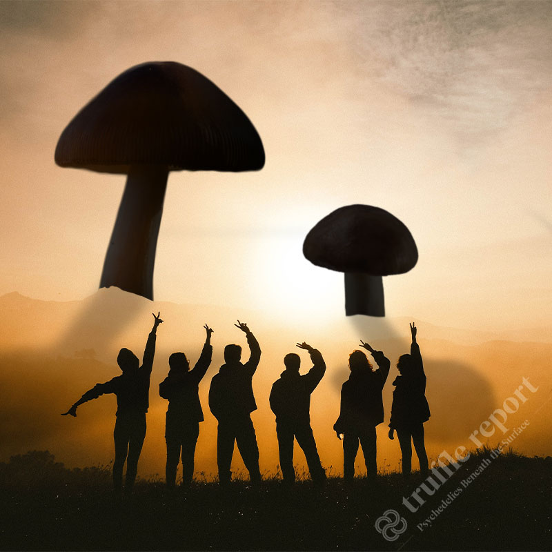 Psychedelic Group therapy featured image