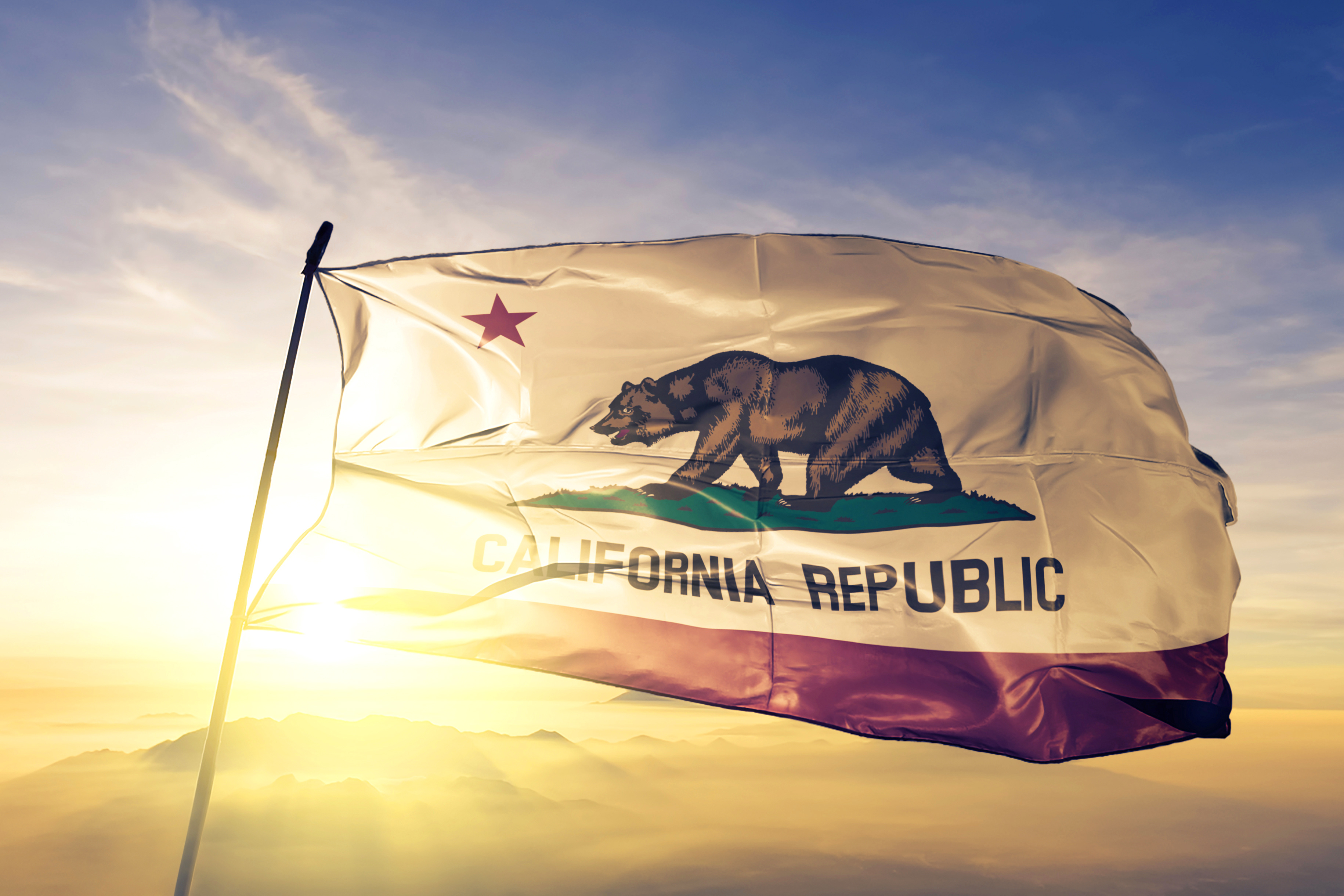 California Flag Stock Image for Psychedelic Decriminalization Bill Recap