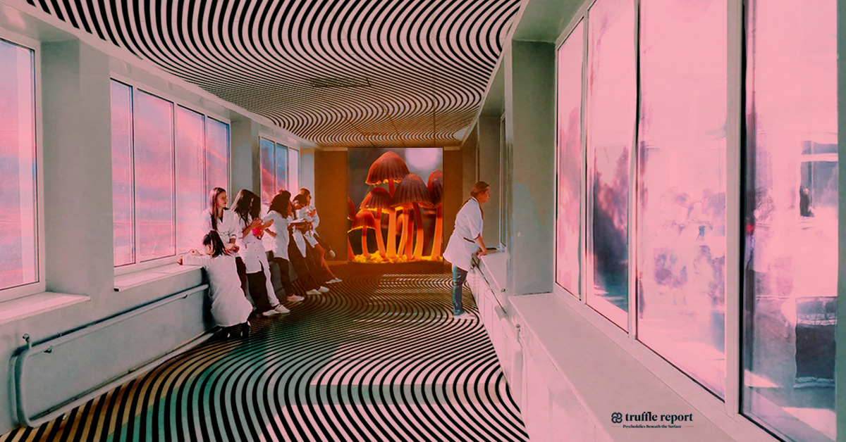 University Health Network Psychedelic Research Featured Image Hospital